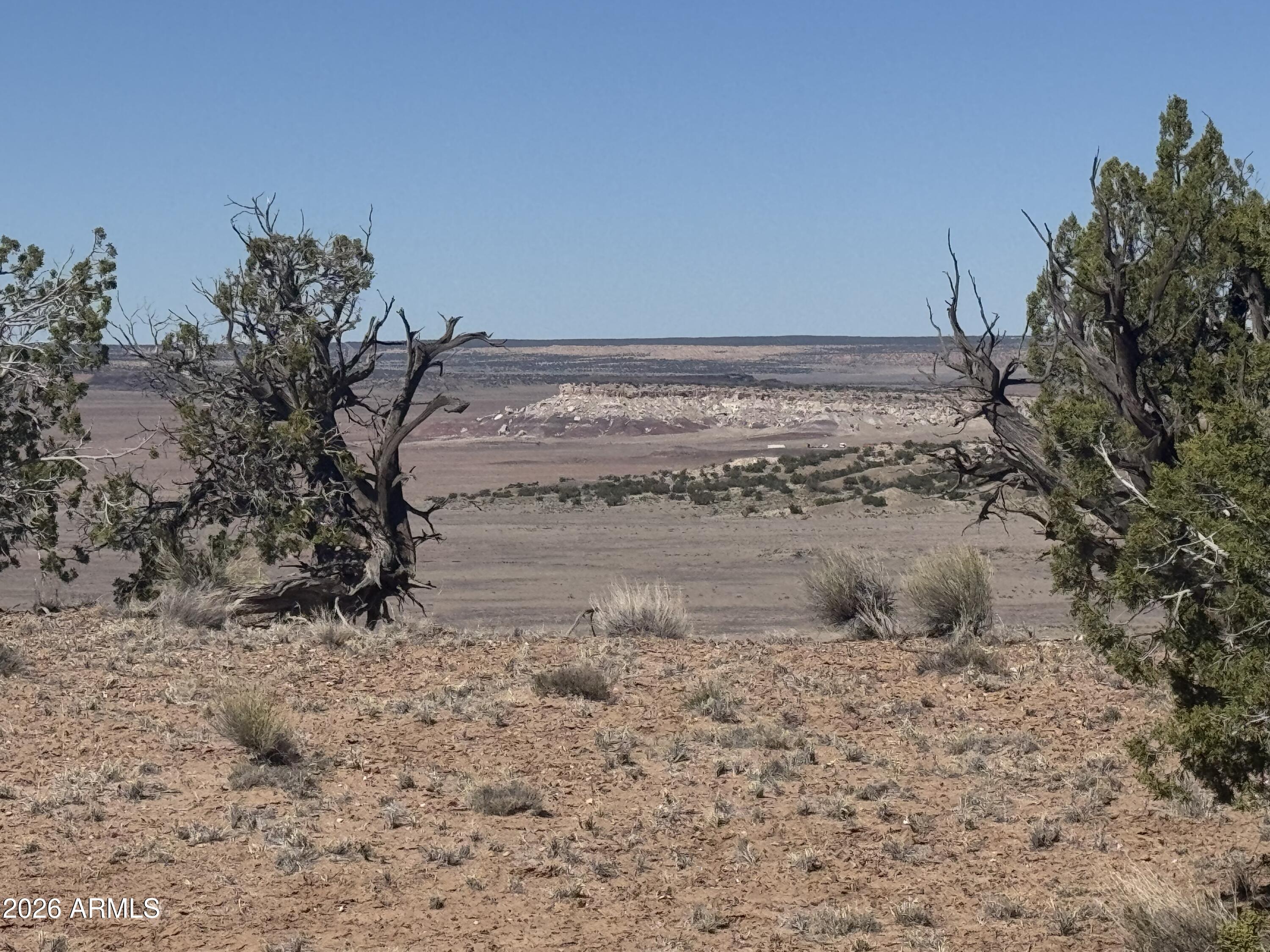 Lot 96 Bonito Valley Ranch 96, St Johns, AZ 85936 — Photo 1 of 26
