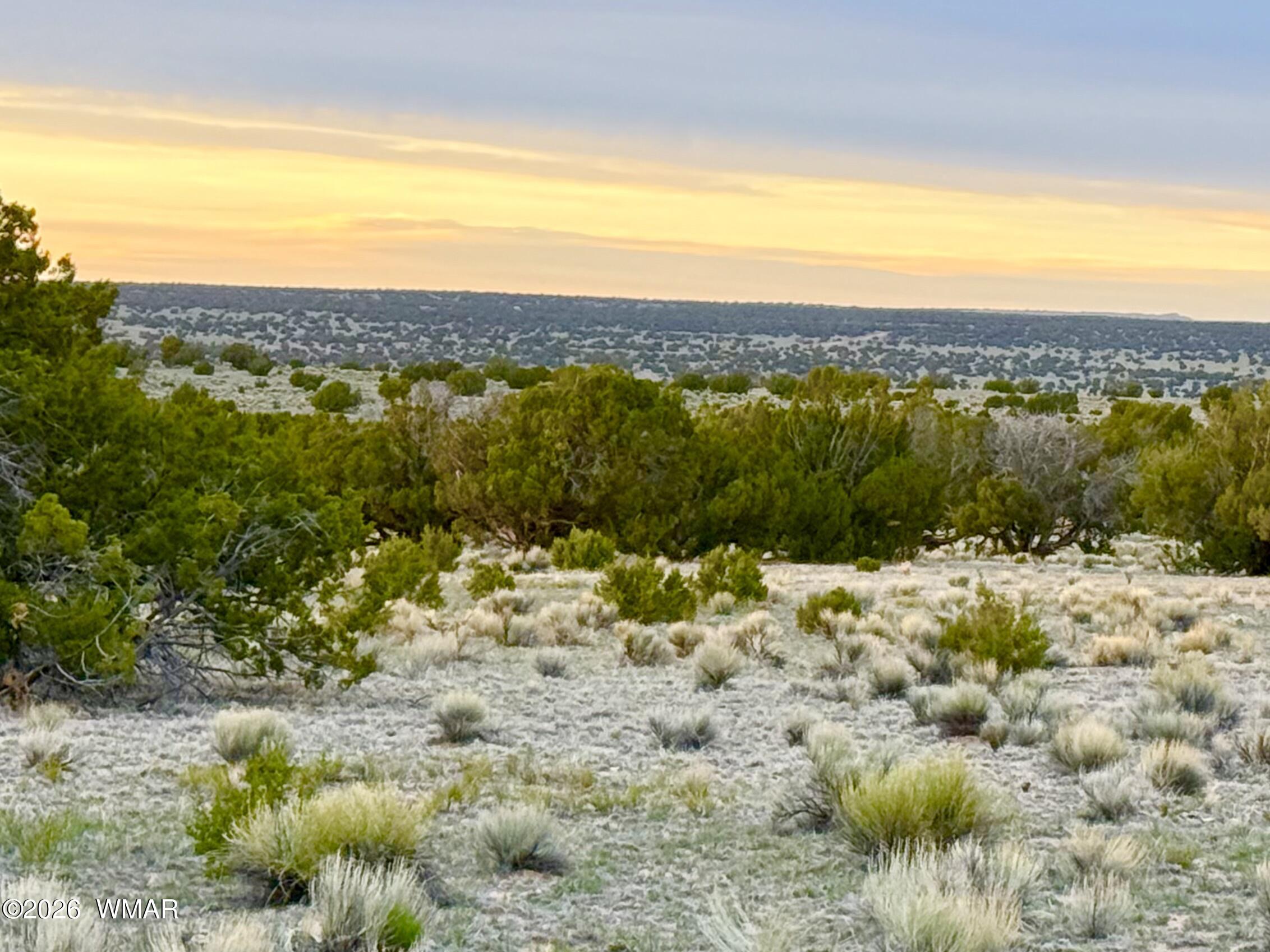 TBD Co Rd N6579 37.25 Acres, St. Johns, AZ 85936