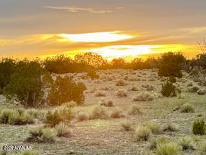 TBD Co Rd N6659 36.25 Acres -, St Johns, AZ 85936 — Photo 1 of 25