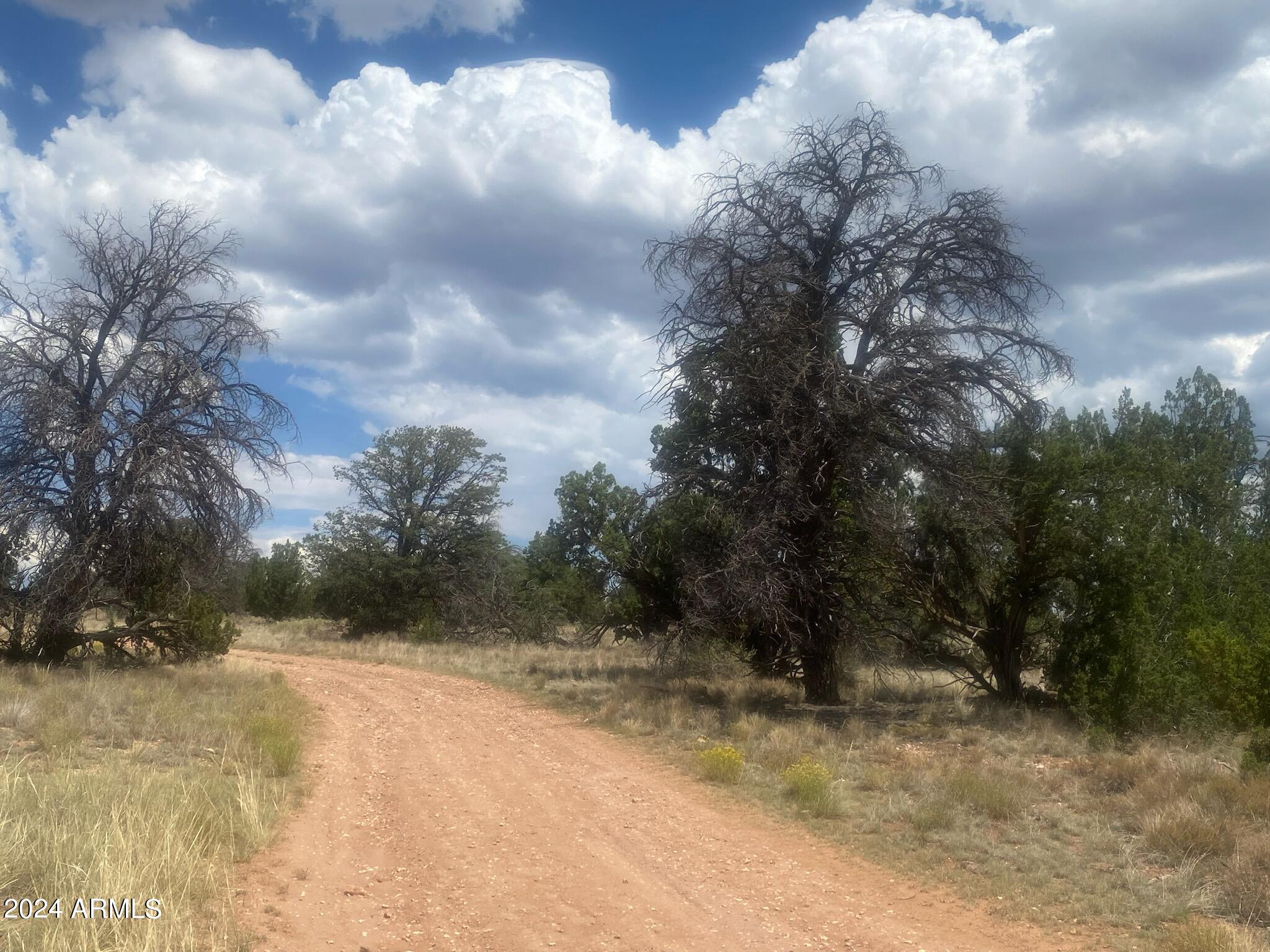 5785 N MUYTALA Drive 96, Williams, AZ 86046 — Photo 1 of 67