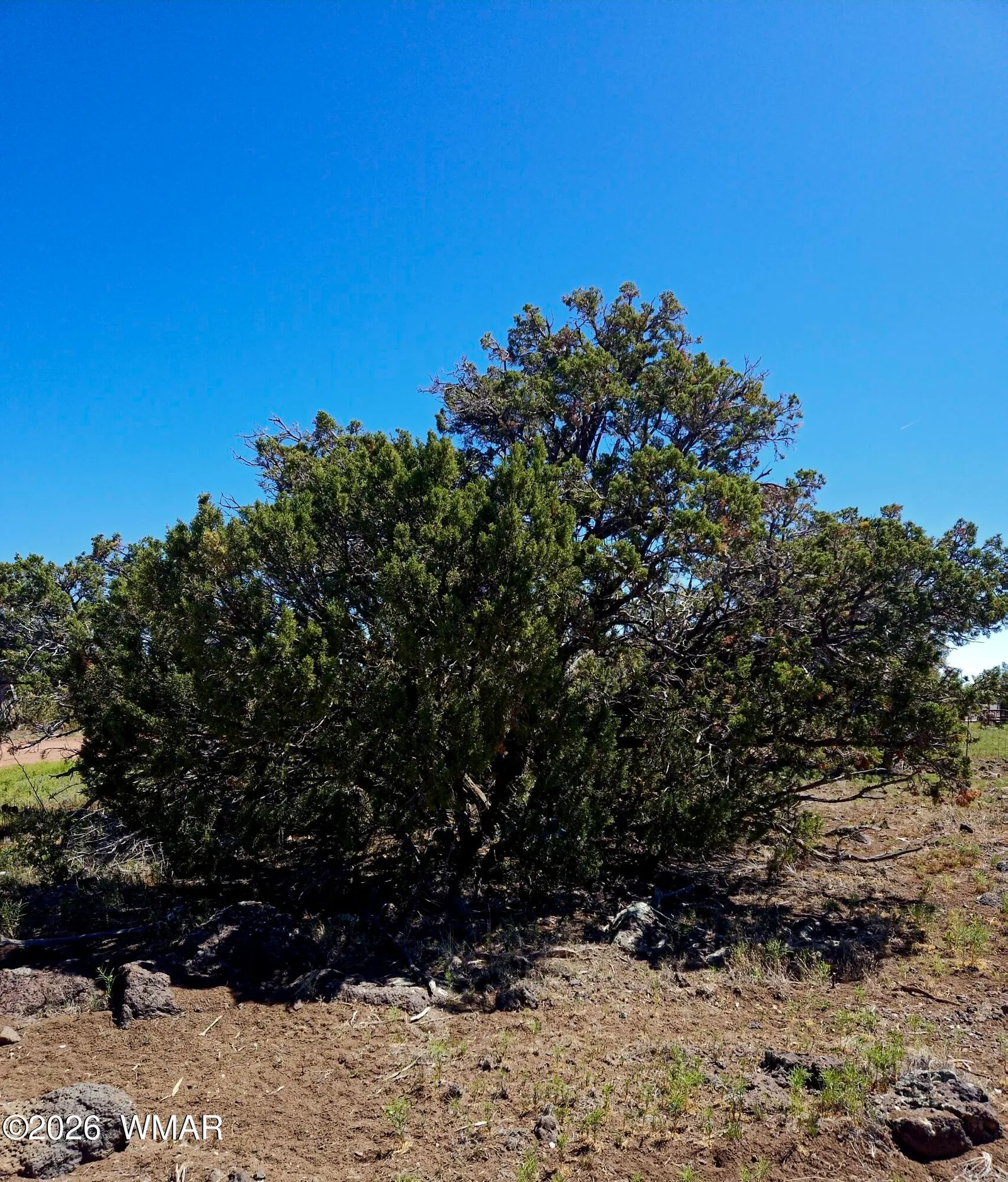 8411 Javelina Drive, Show Low, AZ 85901 — Photo 1 of 7