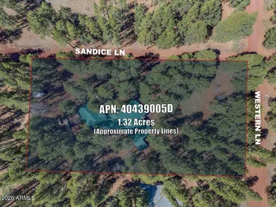 Thumbnail 66