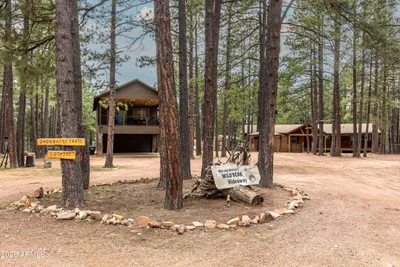 2426 Daisy Trail, Forest Lakes, AZ 85931