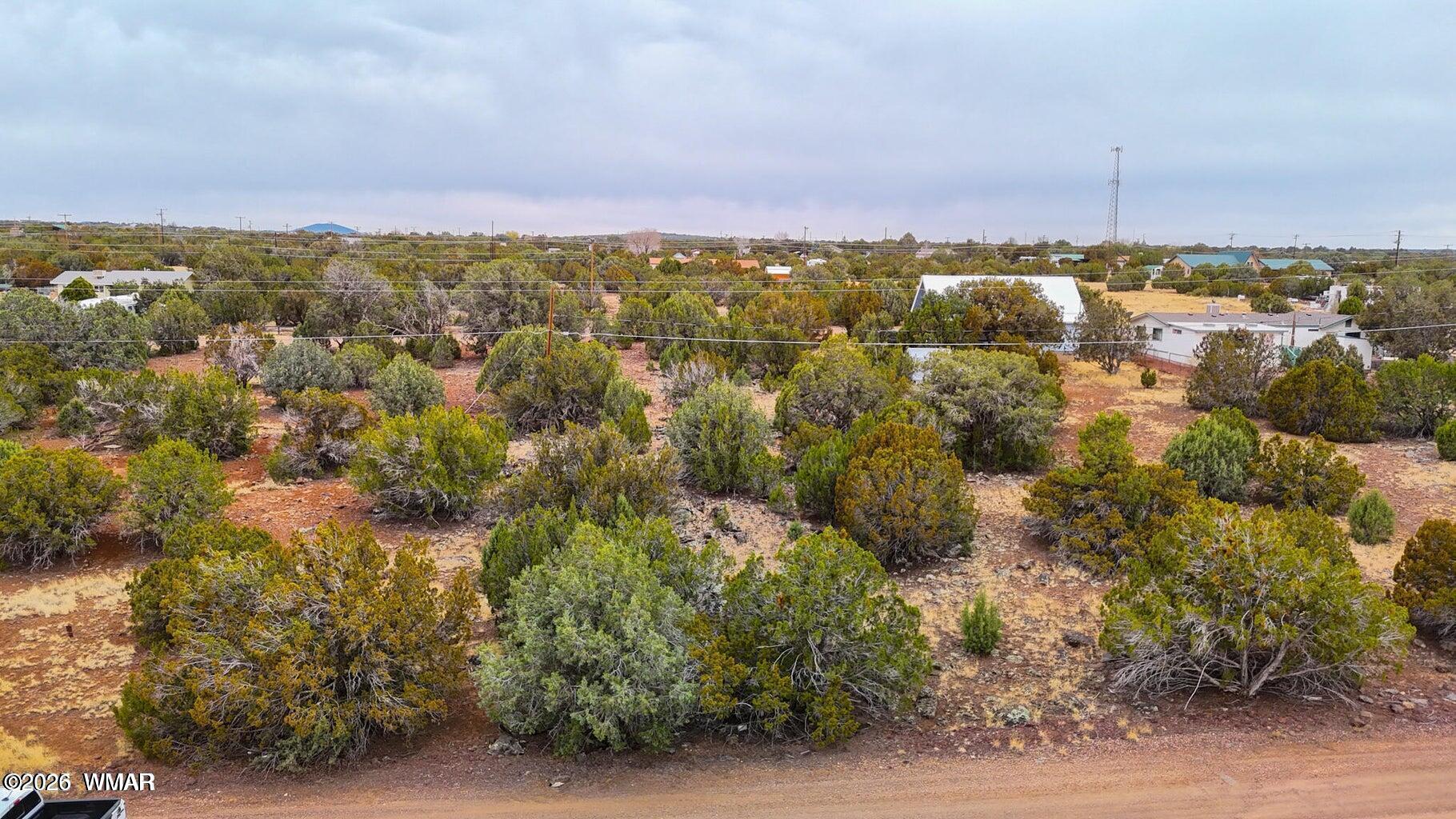 8423 Apache Drive, Show Low, AZ 85901