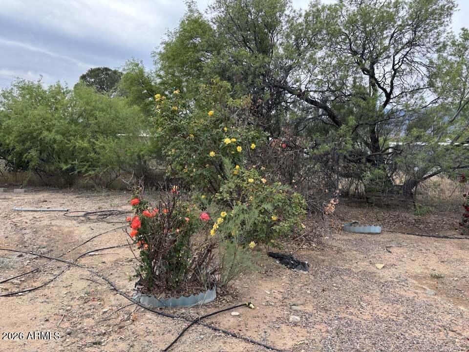 Thumbnail 38