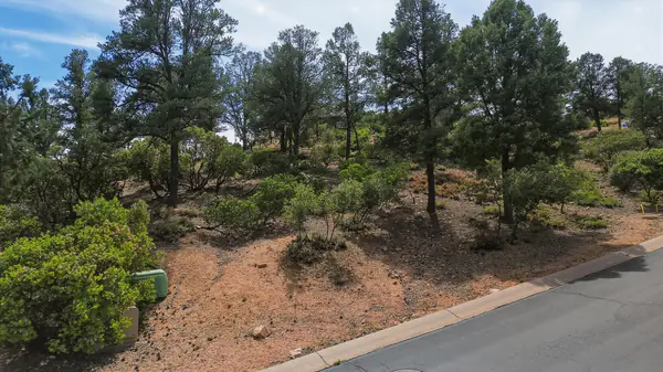 1911 E Starlight Pass, Payson, AZ 85541