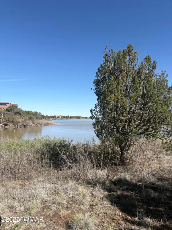 TBD Daggs Circle, Show Low, AZ 85901
