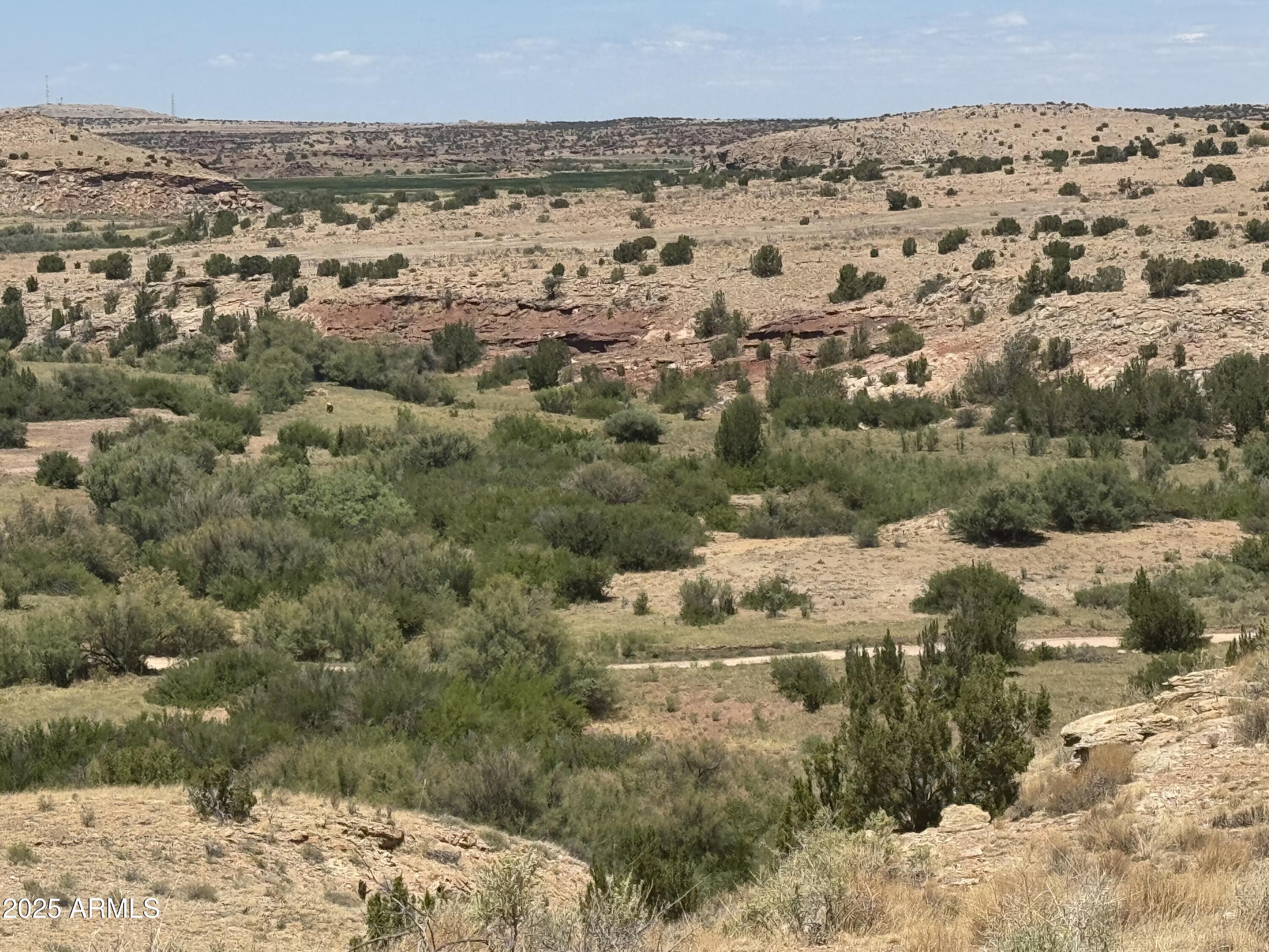 Lot 95 River Springs Ranch 095, St Johns, AZ 85936 — Photo 1 of 27