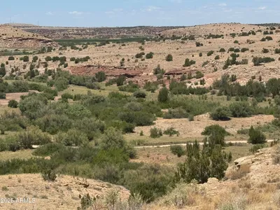 Lot 95 River Springs Ranch 095, St Johns, AZ 85936