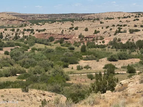 Lot 95 River Springs Ranch 095, St Johns, AZ 85936