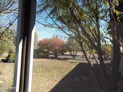 Thumbnail 20