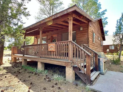 2742 FOX Trail, Overgaard, AZ 85933