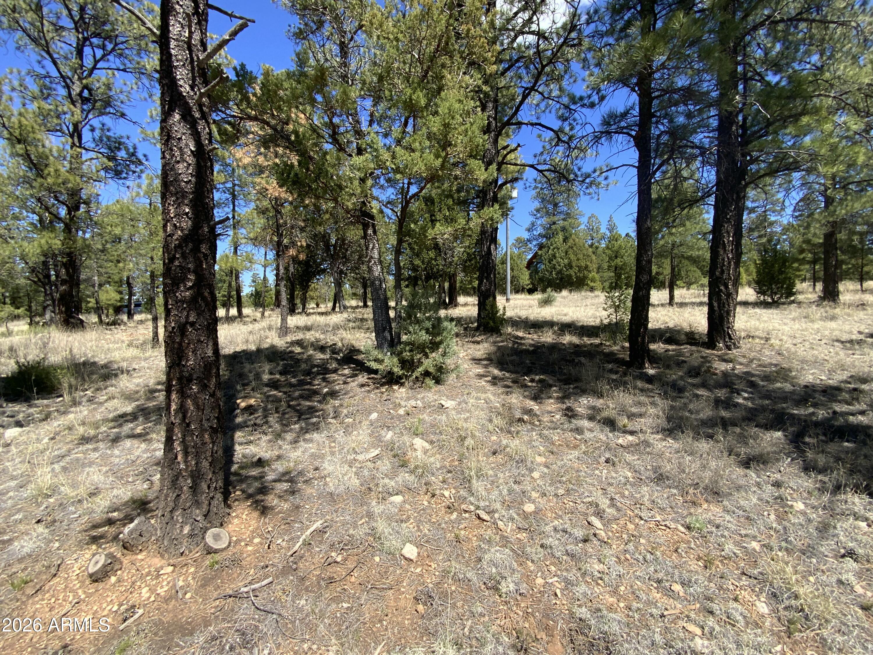 2870 COYOTE Ridge 54, Happy Jack, AZ 86024 — Photo 1 of 37