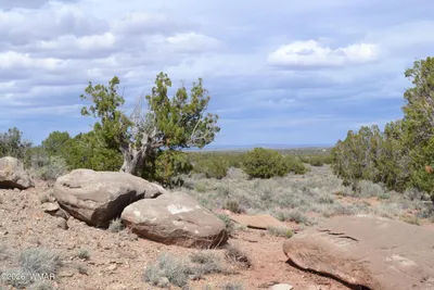 32 N8544, Concho, AZ 85924