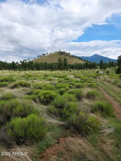 21 Fun Valley Road 21, Flagstaff, AZ 86001