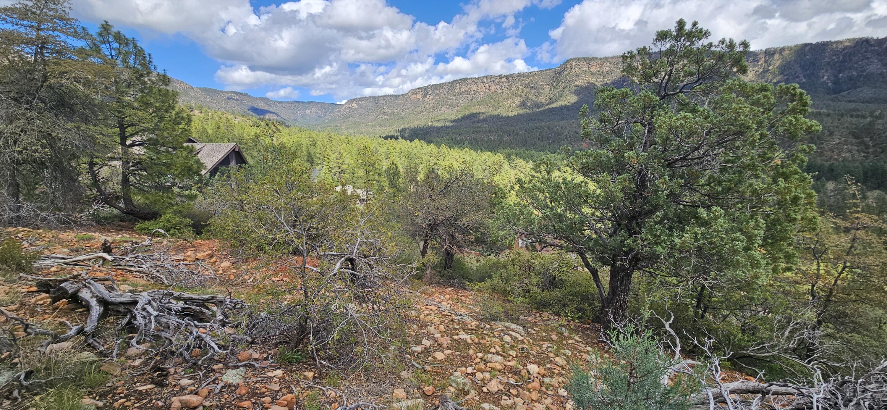 5059 N Hilltop Drive, Pine, AZ 85544 — Photo 1 of 28