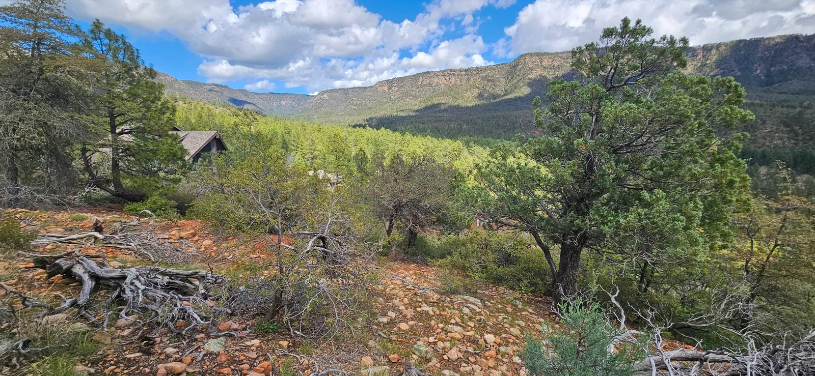 5059 N Hilltop Drive, Pine, AZ 85544 — Photo 1 of 14