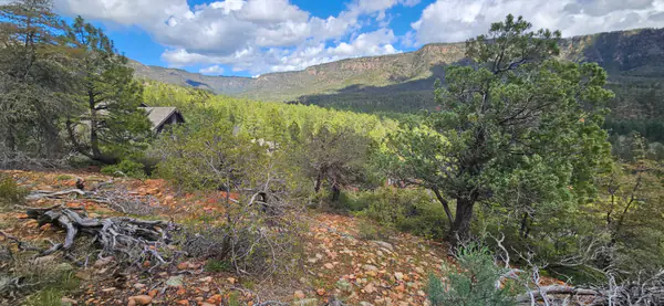 5059 N Hilltop Drive, Pine, AZ 85544