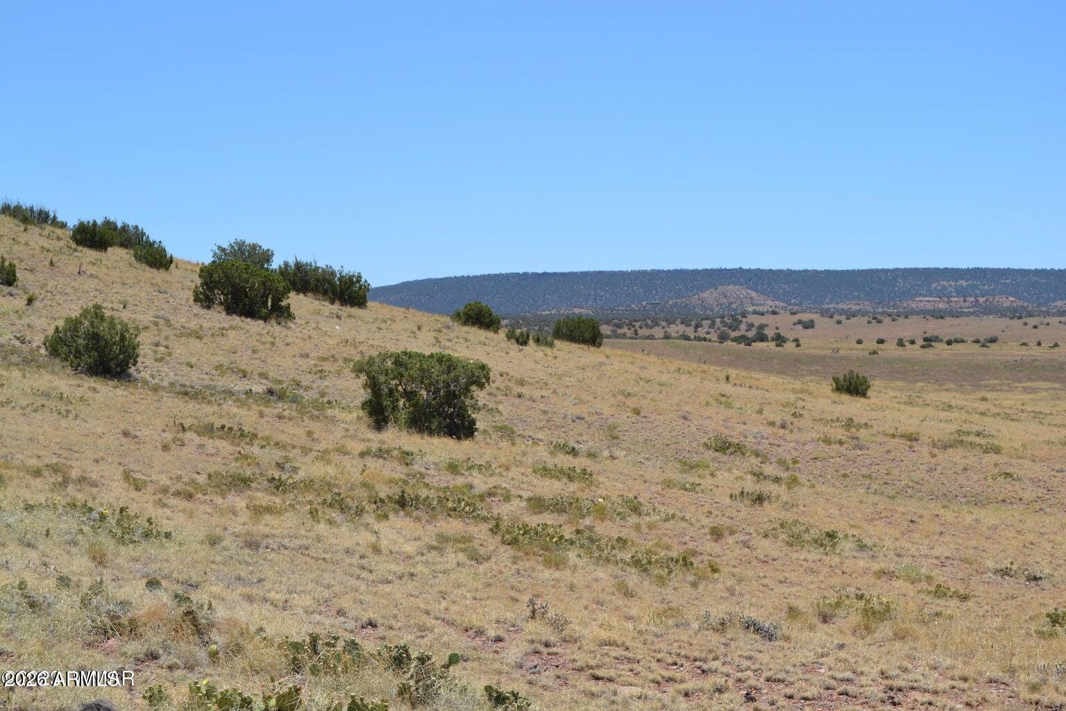 Lot 863 ACR N8497 863, Concho, AZ 85924 — Photo 1 of 10