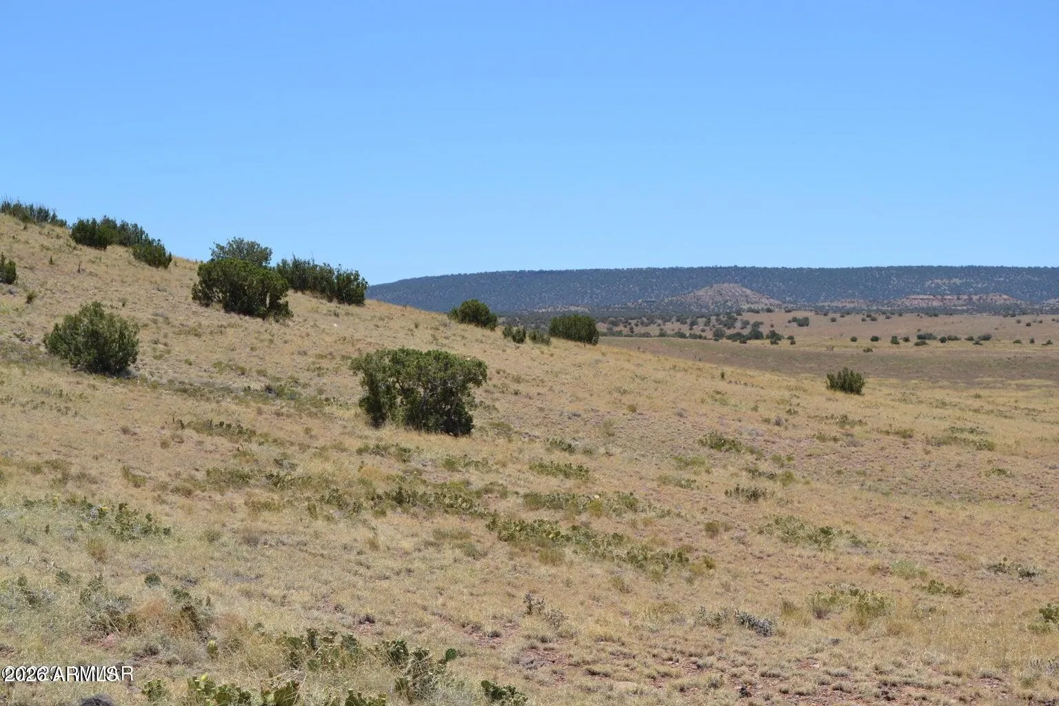Lot 863 ACR N8497 863, Concho, AZ 85924 — Photo 1 of 10