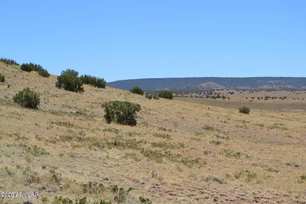 Lot 863 ACR N8497 863, Concho, AZ 85924
