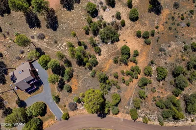 Thumbnail 13