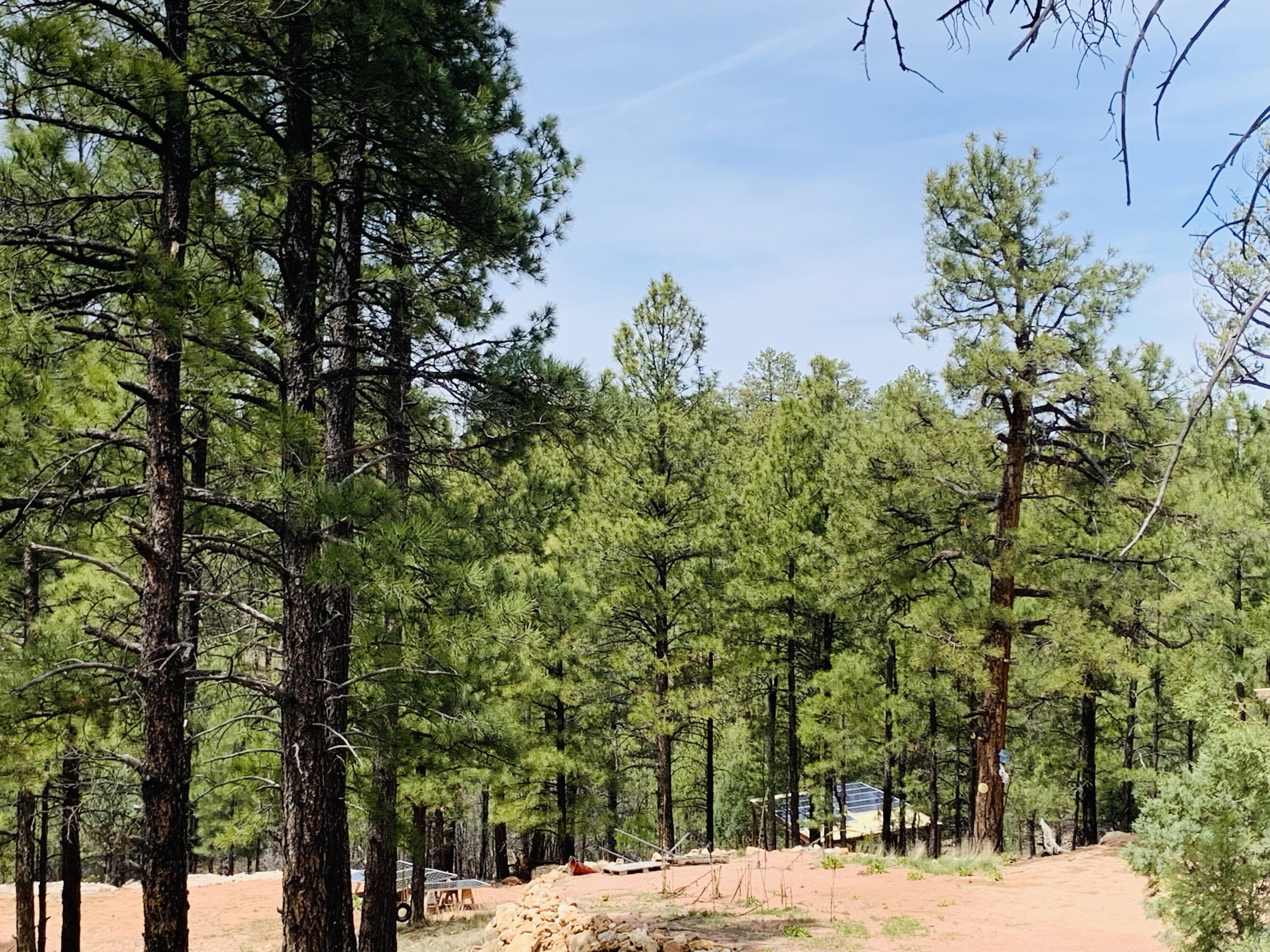 2816 Canyon View Drive, Happy Jack, AZ 86024