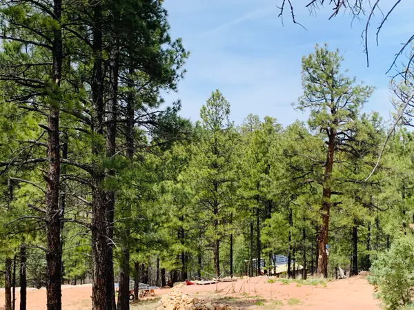 2816 Canyon View Drive, Happy Jack, AZ 86024