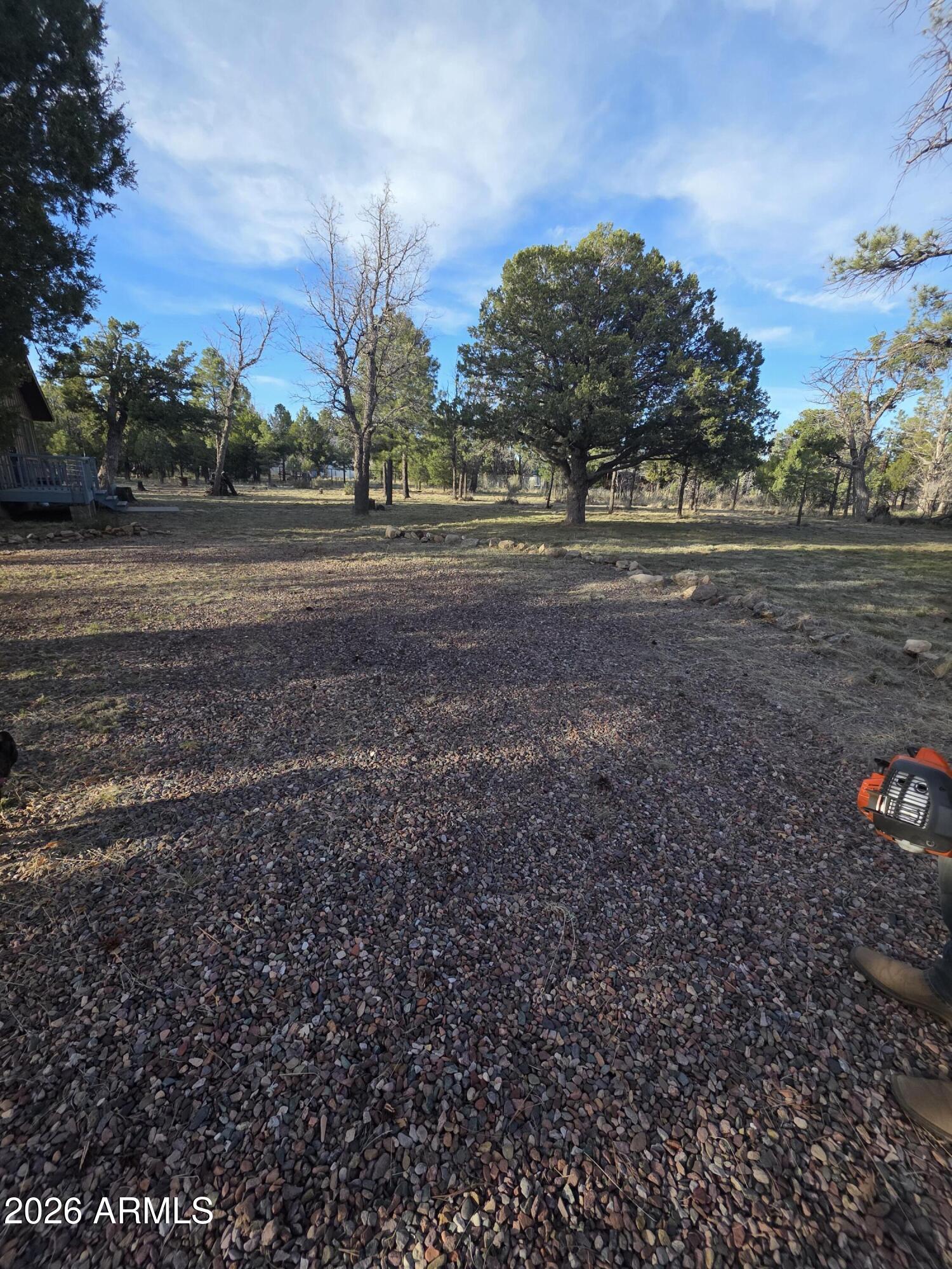 5823 COUGAR Drive, Happy Jack, AZ 86024 — Photo 1 of 35