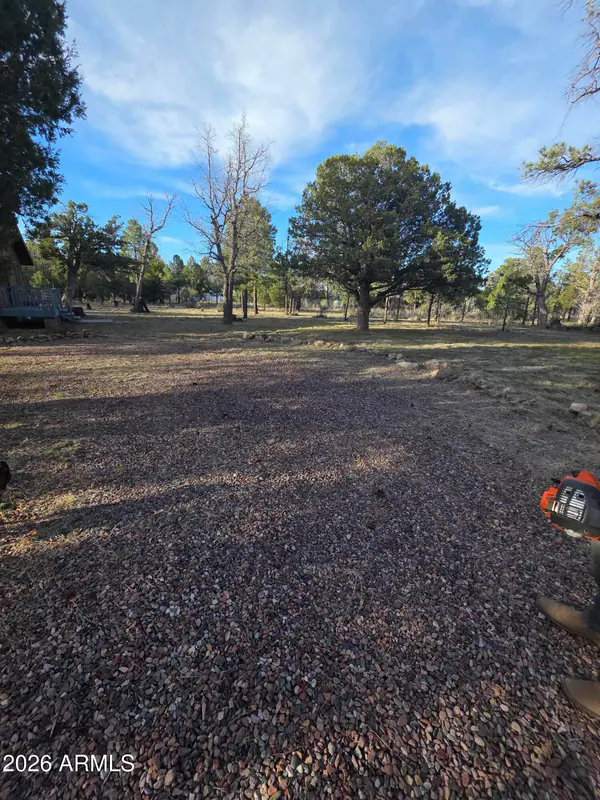 5823 COUGAR Drive, Happy Jack, AZ 86024