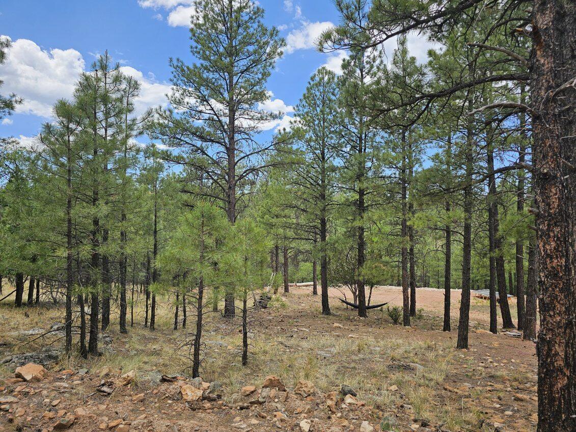 2788 Canyon View Drive, Happy Jack, AZ 86024