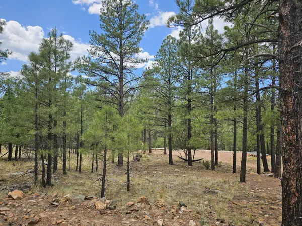2788 Canyon View Drive, Happy Jack, AZ 86024