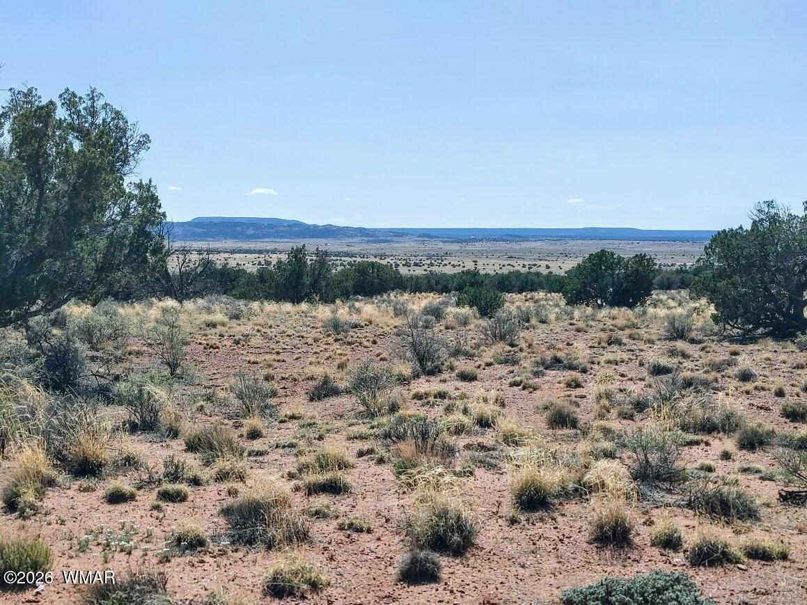 Lot 222 Woodridge Ranch, N5370, Concho, AZ 85924