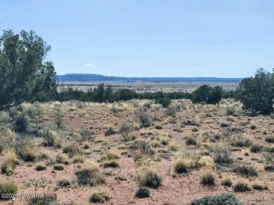 Lot 222 Woodridge Ranch, N5370, Concho, AZ 85924