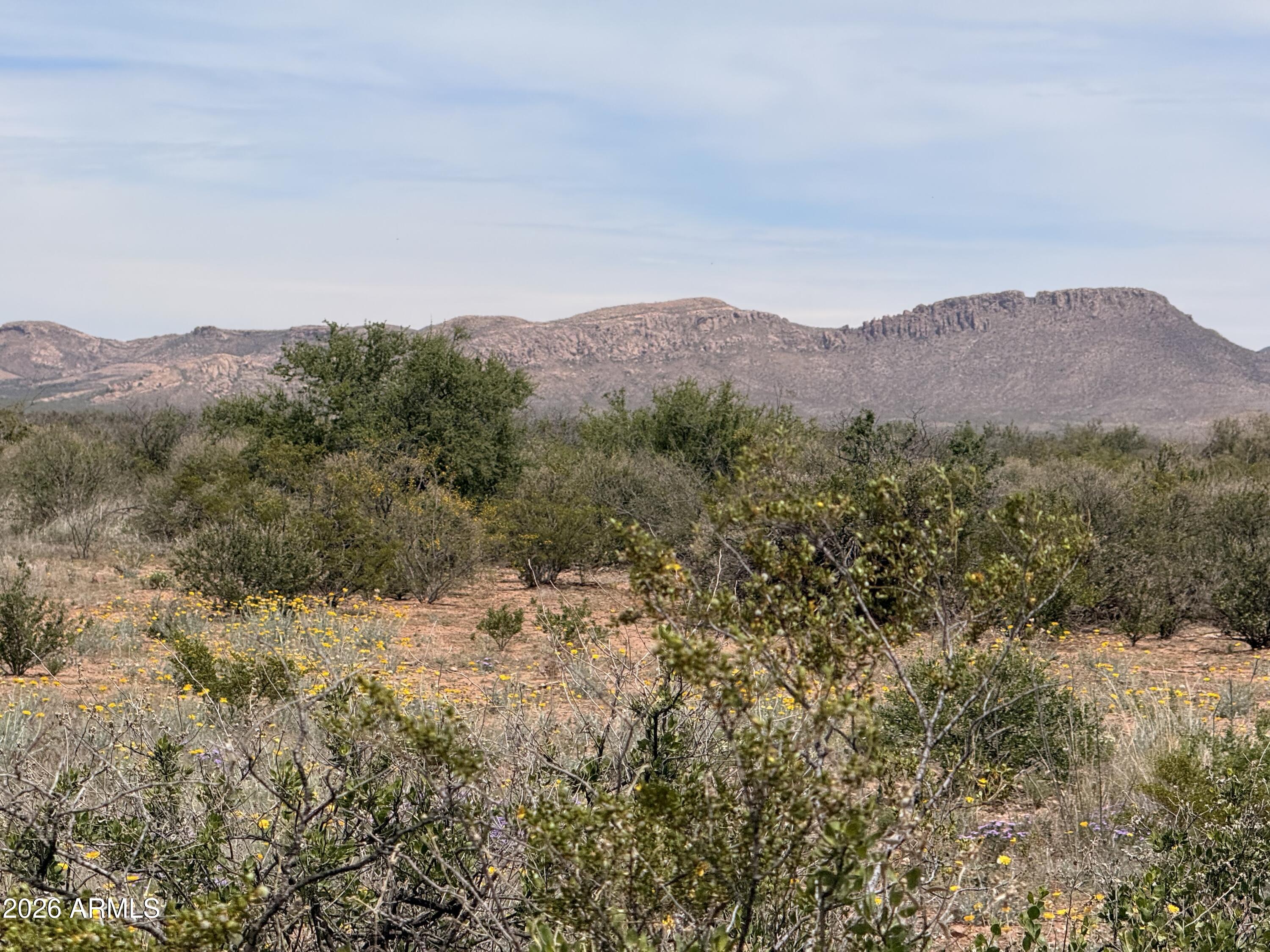 Lot 3940 N Valladolid Drive 3940, Douglas, AZ 85607 — Photo 1 of 11