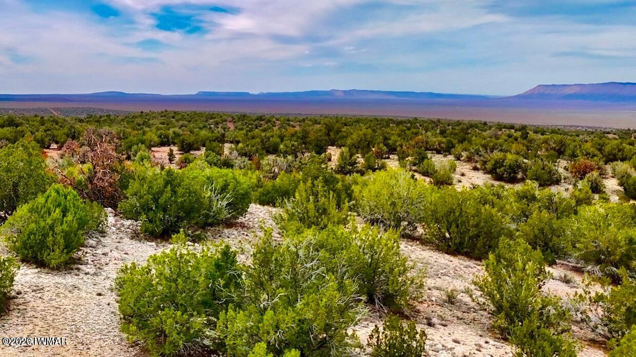 31326 Calle Barril, Seligman, AZ 86337