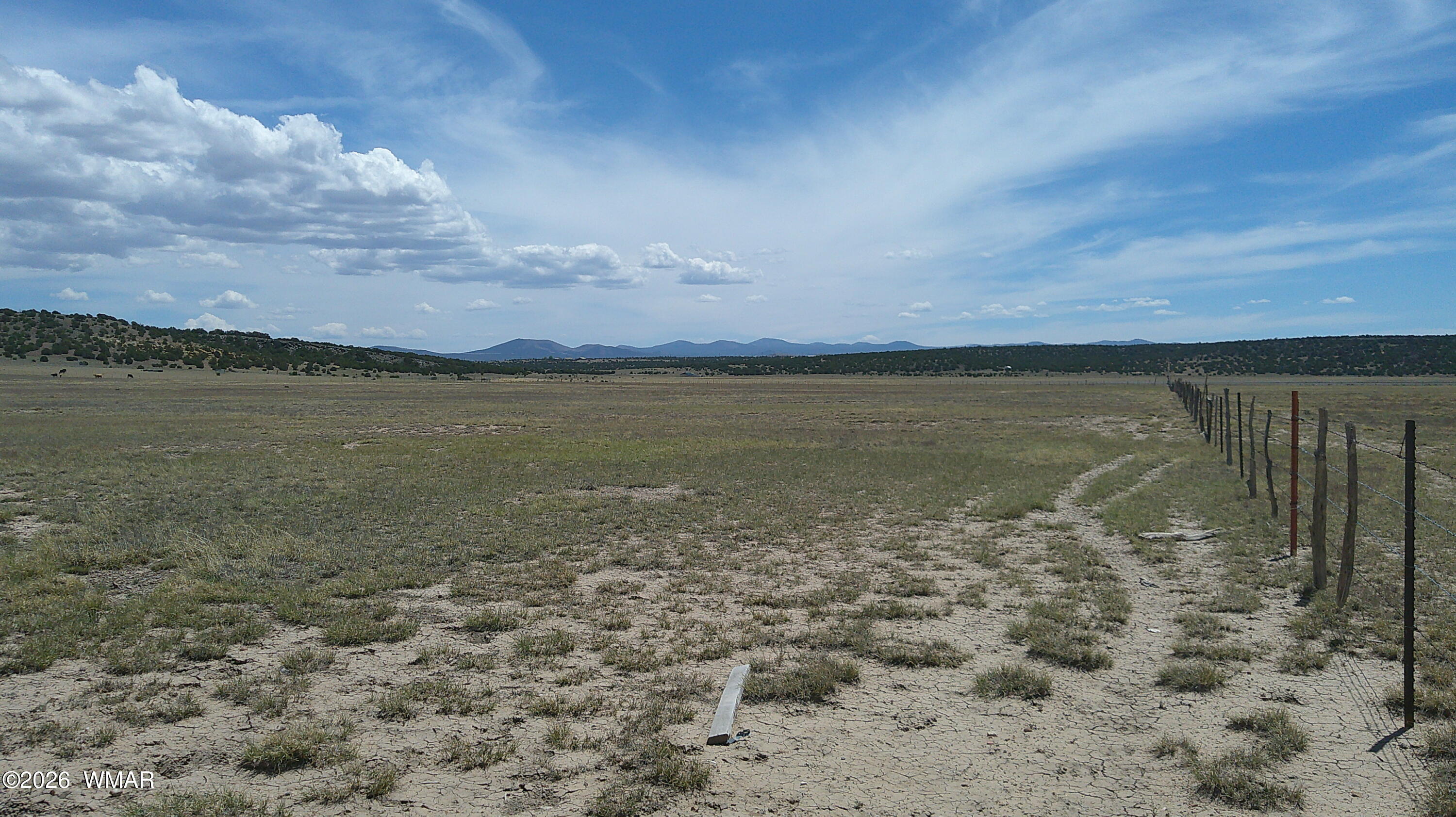 TBD Windsor Valley Ranch 40, Concho, AZ 85924
