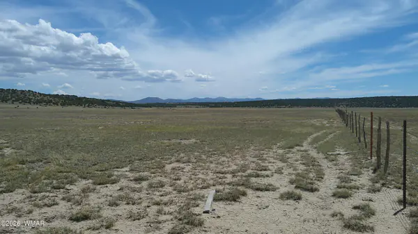 TBD Windsor Valley Ranch 40, Concho, AZ 85924
