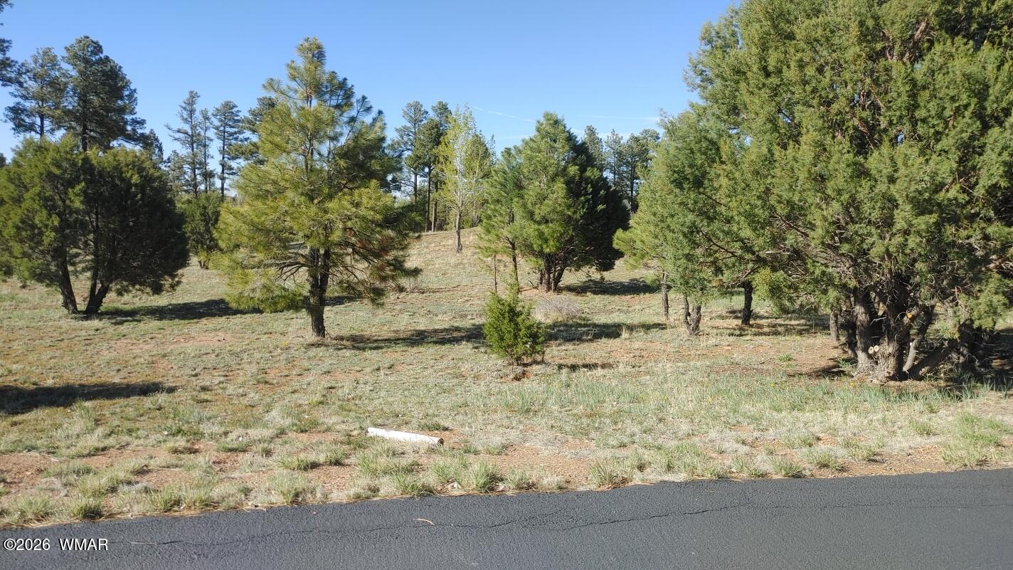 2254 Big Bear Circle, Overgaard, AZ 85933
