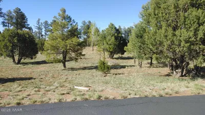 2254 Big Bear Circle, Overgaard, AZ 85933