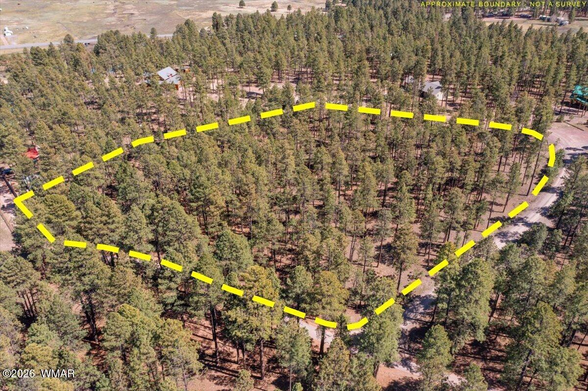 TBD County Road 2325, Alpine, AZ 85920