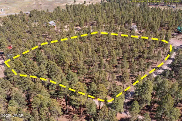 TBD County Road 2325, Alpine, AZ 85920