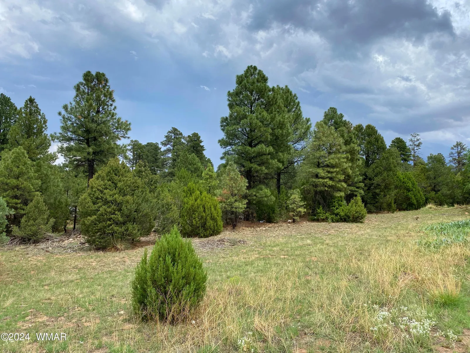 2026 State Route 277, Heber, AZ 85928 — Photo 1 of 1