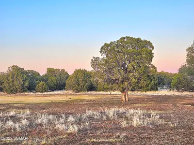 1606 Echo Court, Show Low, AZ 85901