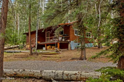 8 County Road 1006, Greer, AZ 85927