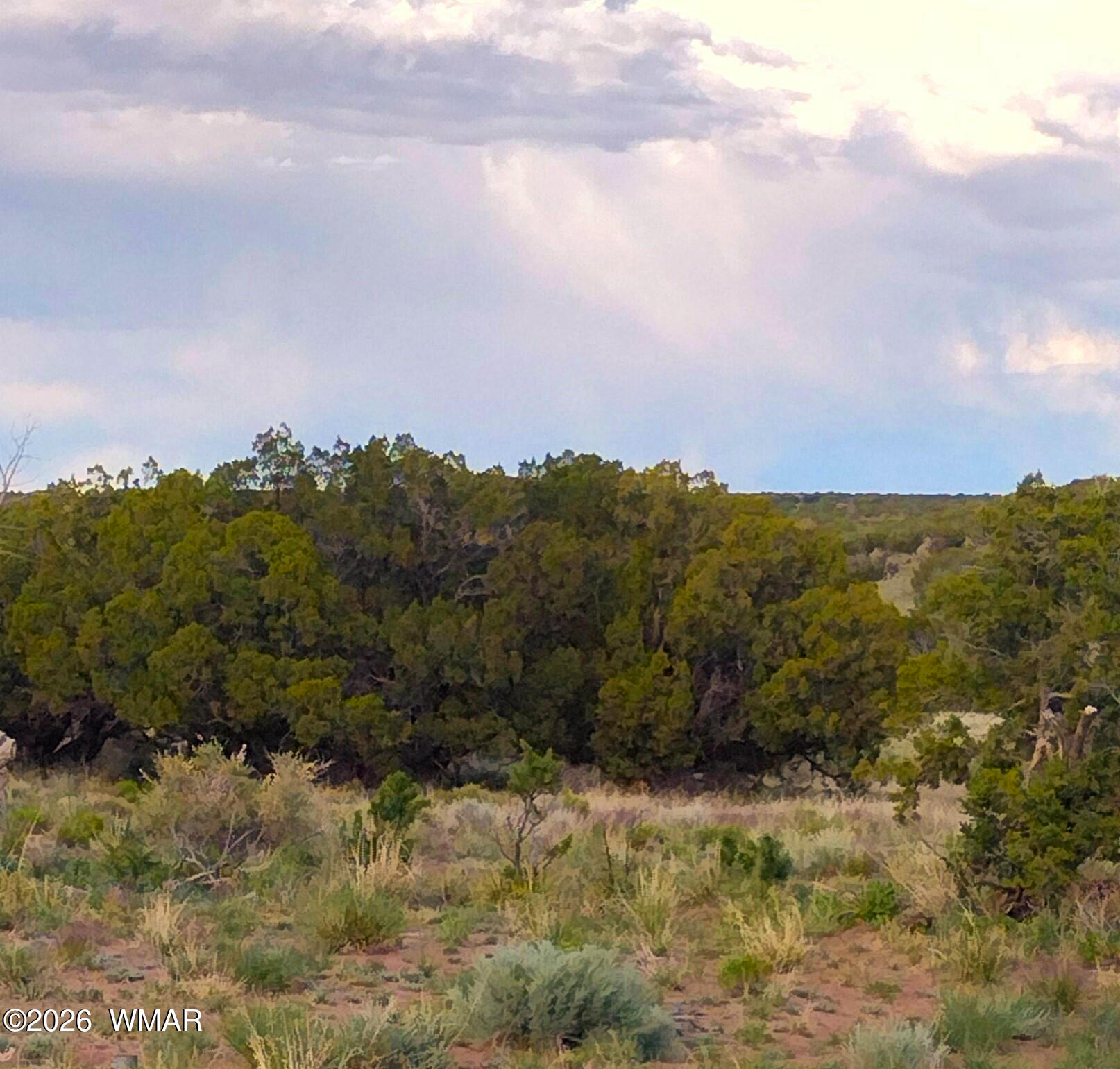 Lots 61-62 Elk Valley Ranch, St. Johns, AZ 85936