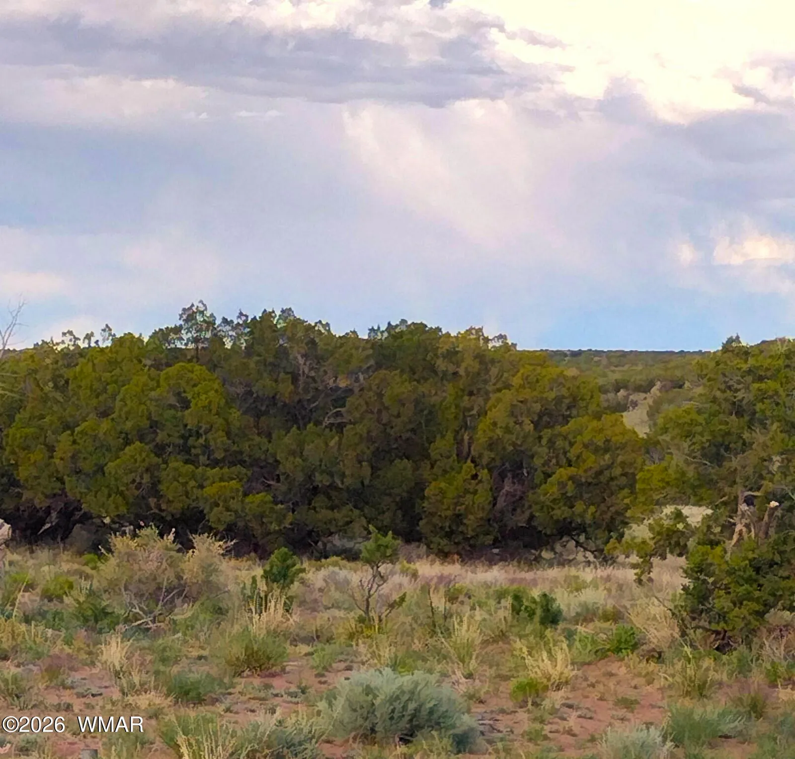Lots 61-62 Elk Valley Ranch, St. Johns, AZ 85936 — Photo 1 of 32