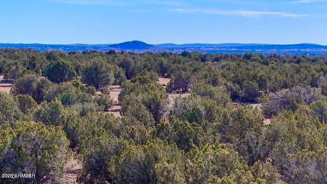 9023 Appaloosa Trl Lot A, 5 Acres -, Show Low, AZ 85901 — Photo 1 of 24
