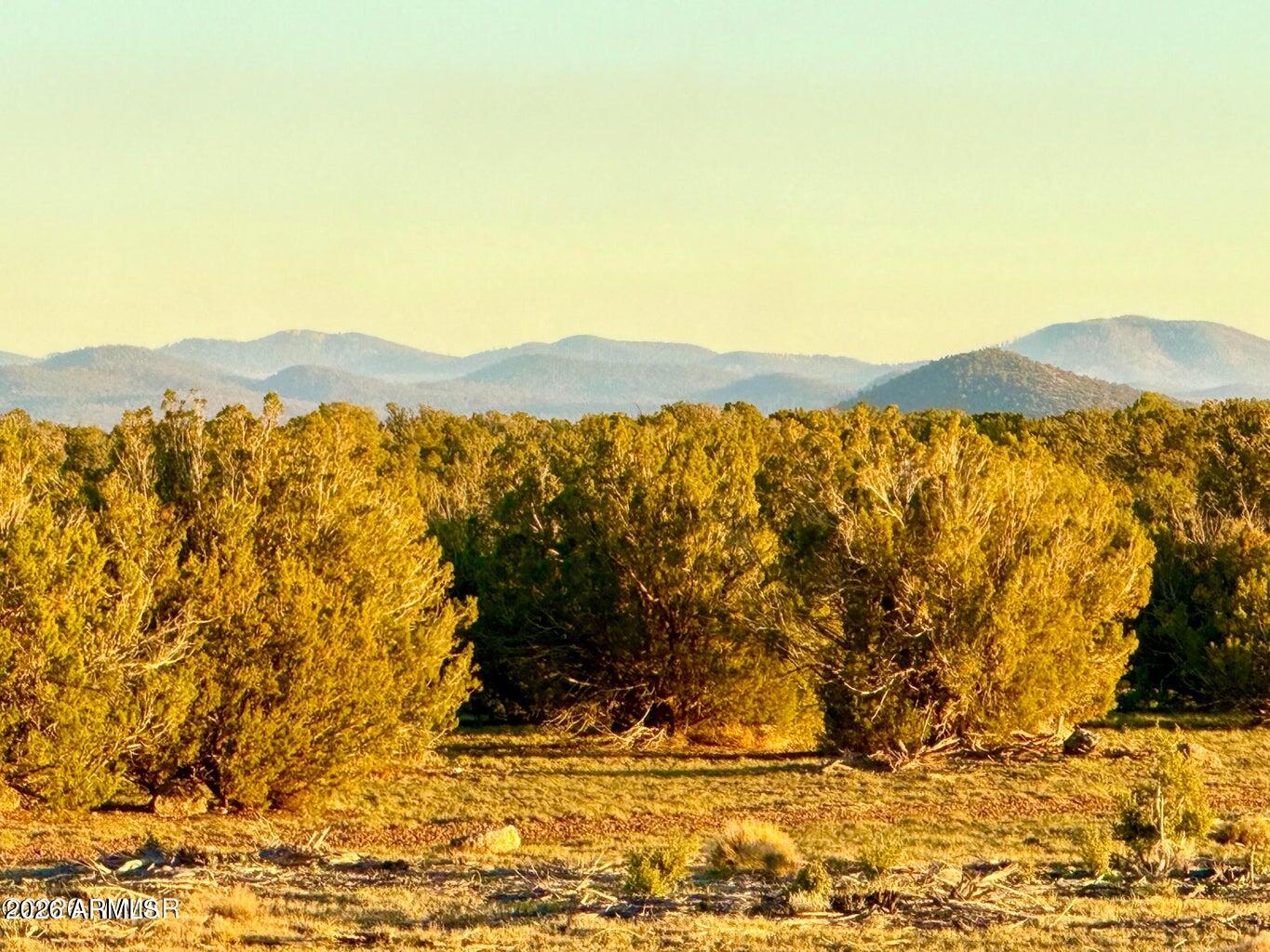 9023 Appaloosa Trl Lot B, 5 Acres -, Show Low, AZ 85901 — Photo 1 of 25