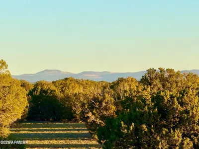 Thumbnail 20